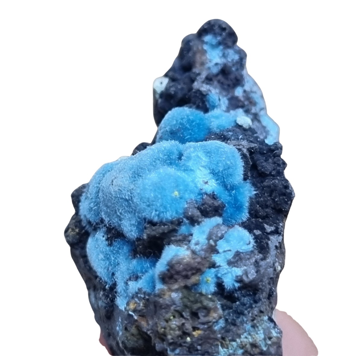 318 Shattuckite J